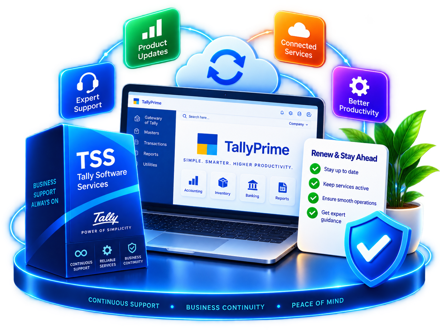 TallyPrime TSS renewal and connected services